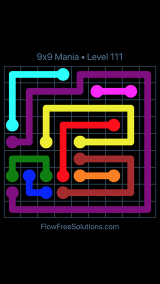 Solution and Answer to the Puzzle for Flow Free 9x9 Mania Level 111