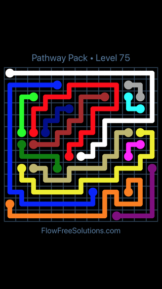 Solution and Answer to the Puzzle for Flow Free Pathway Pack 13 X 13 Level 75